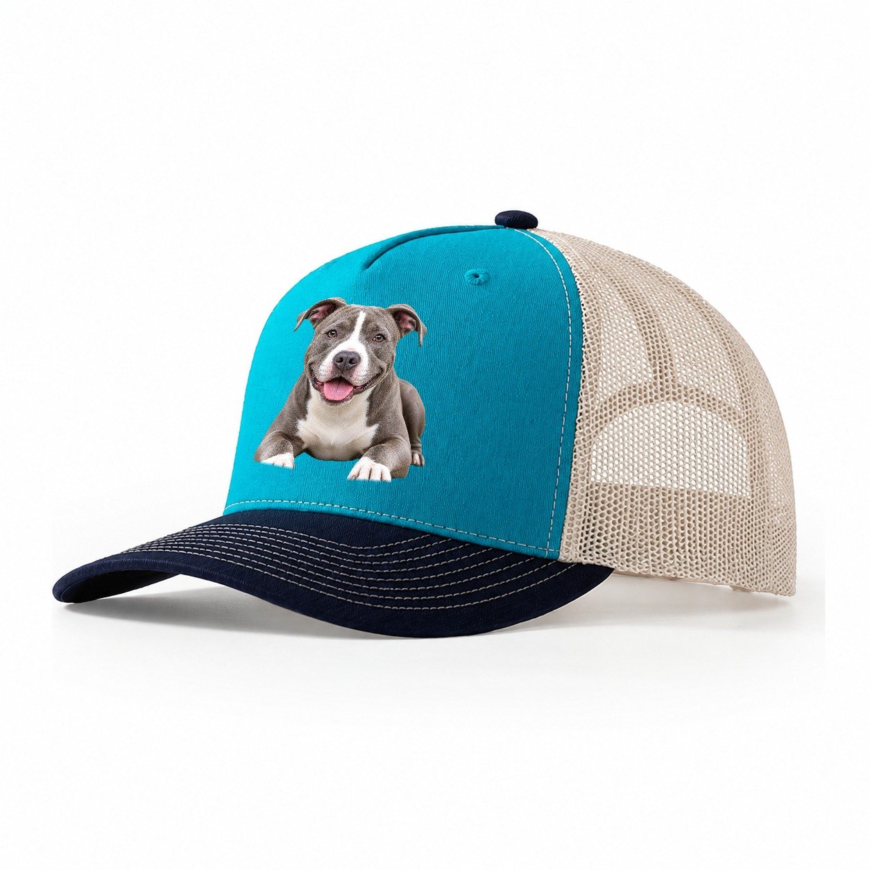 Pit Bull Terrier Lying Down Top Breeds Trucker Hat – Teal Navy