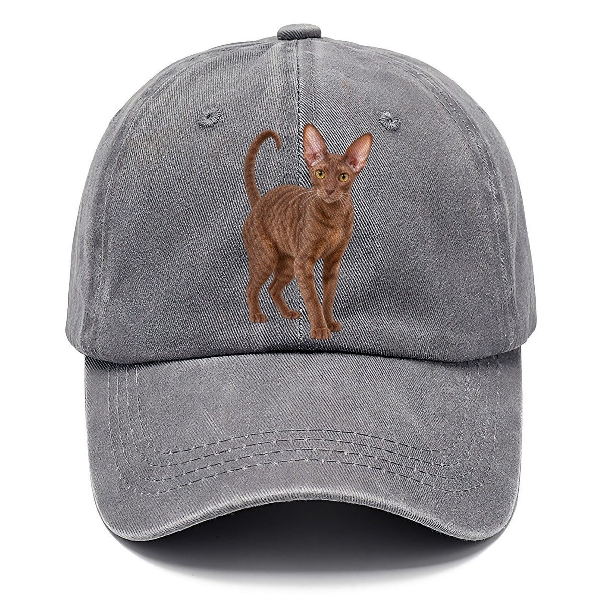Cornish Rex Standing Three Quarter Realistic Cat Portrait Classic Cap – Urban Haze