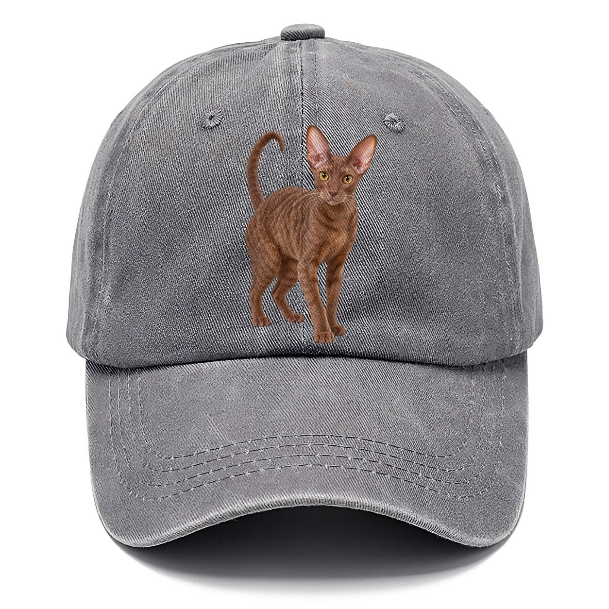 Cornish Rex Standing Three Quarter Realistic Cat Portrait Classic Cap – Urban Haze
