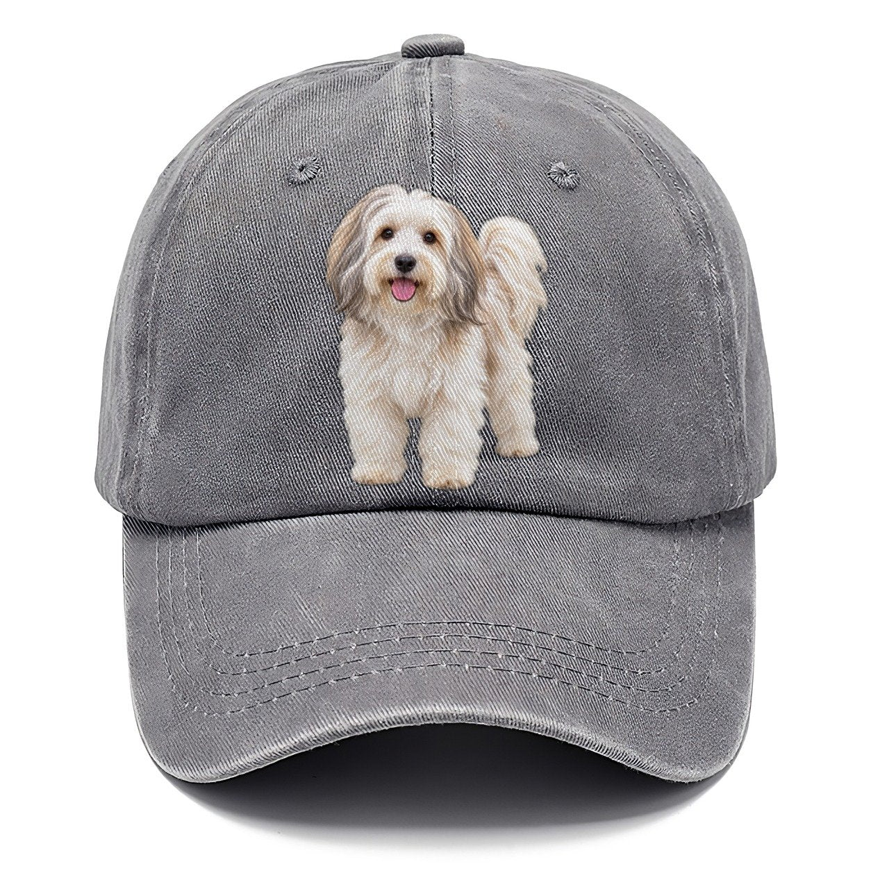 Havanese Standing Top Breeds Classic Cap – Urban Haze