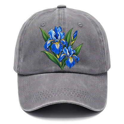 Quebec Blue Flag Iris Canada Cultural Icons Classic Cap – Urban Haze