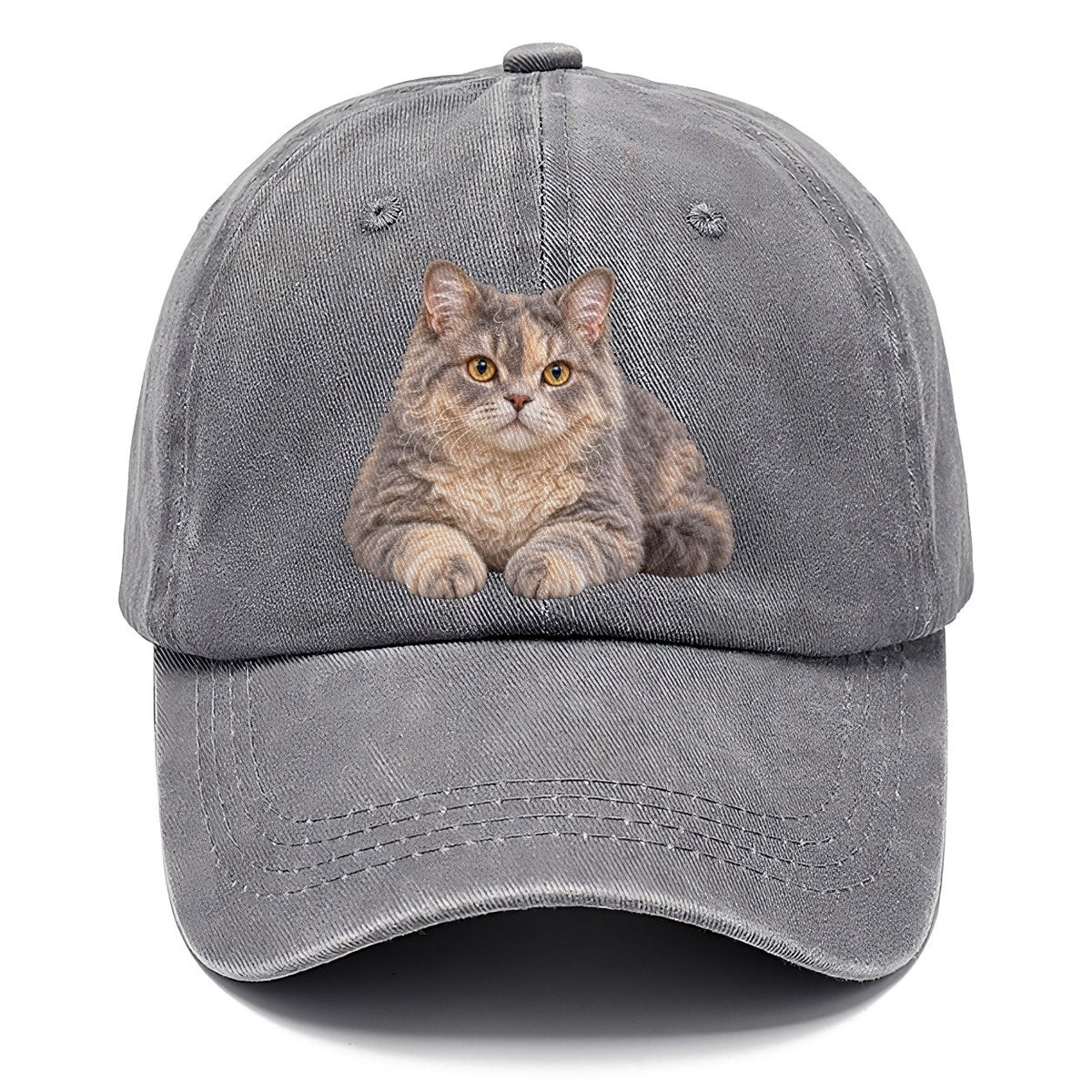 Selkirk Rex Reclining Paws Forward Realistic Cat Portrait Classic Cap – Urban Haze