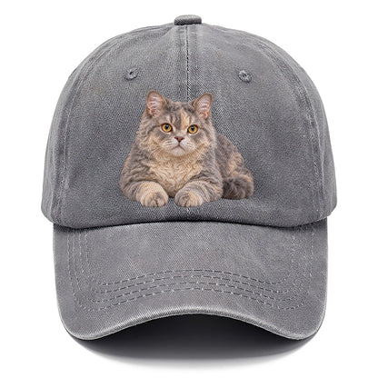 Selkirk Rex Reclining Paws Forward Realistic Cat Portrait Classic Cap – Urban Haze