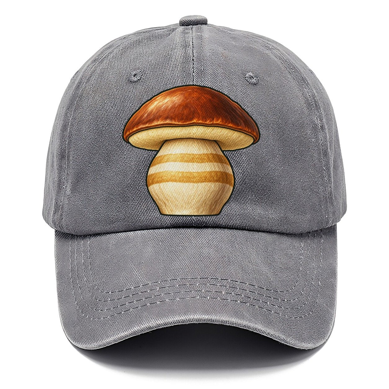 Bolete Hero Study Foraging And Mycology Classic Cap – Urban Haze
