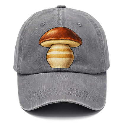 Bolete Hero Study Foraging And Mycology Classic Cap – Urban Haze