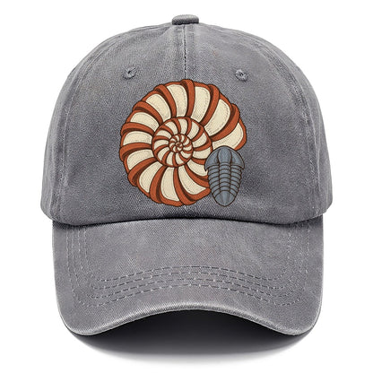 Ammonite Specimen Plate Rocks And Minerals Classic Cap – Urban Haze
