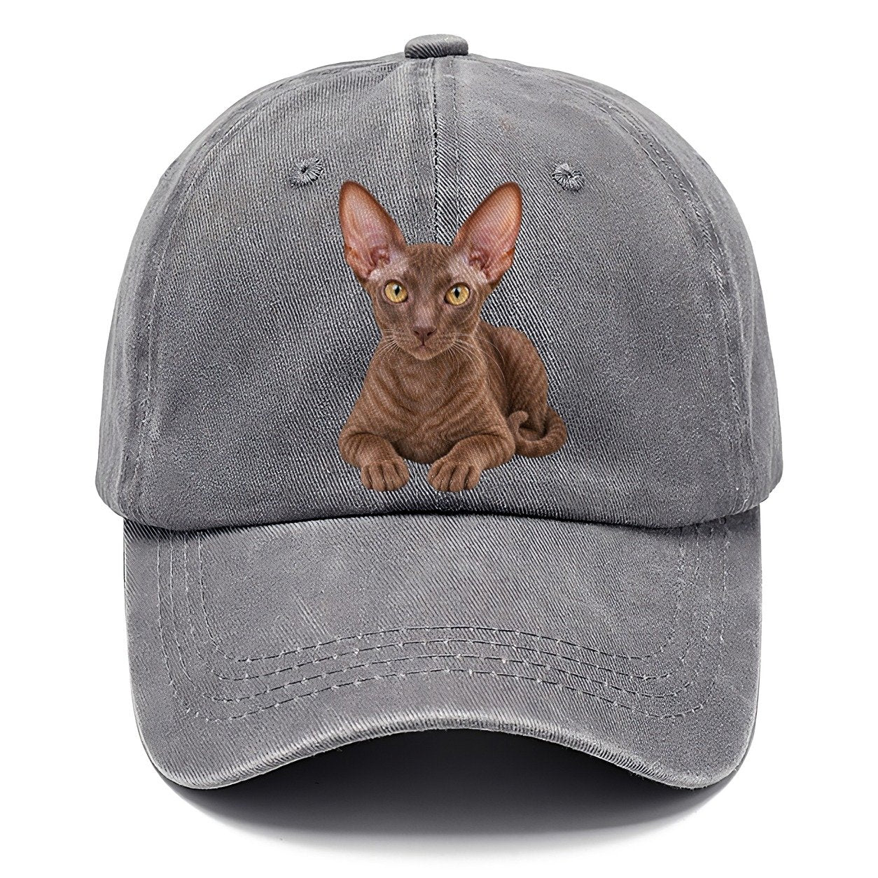 Cornish Rex Reclining Paws Forward Realistic Cat Portrait Classic Cap – Urban Haze