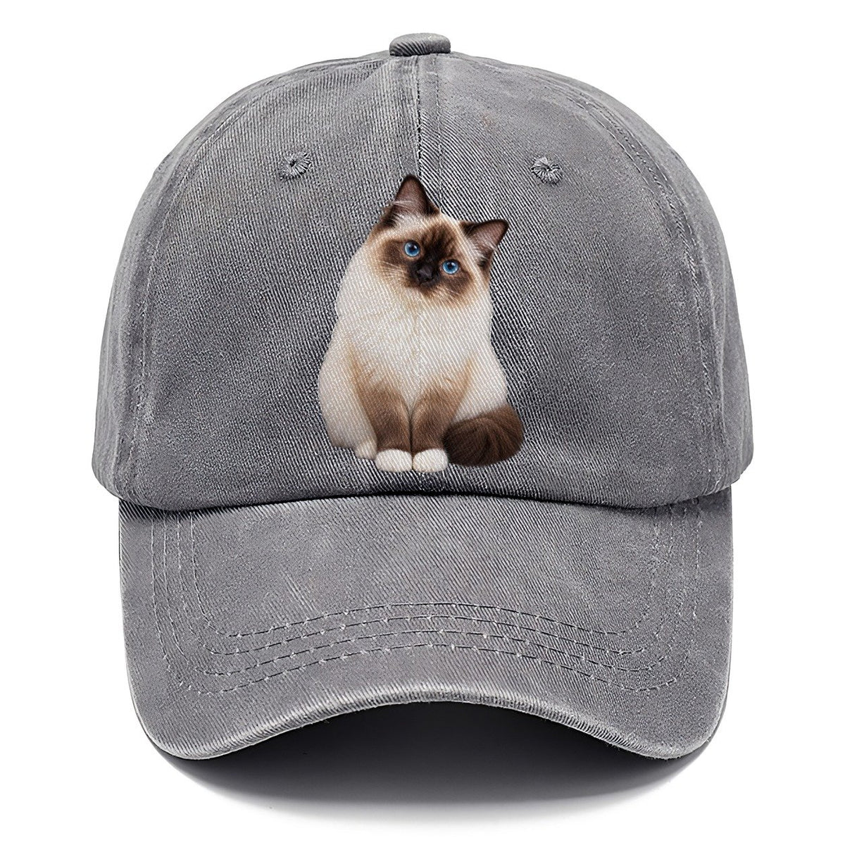 Birman Seated Portrait Realistic Cat Portrait Classic Cap – Urban Haze