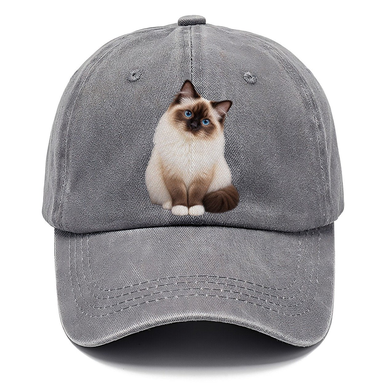 Birman Seated Portrait Realistic Cat Portrait Classic Cap – Urban Haze