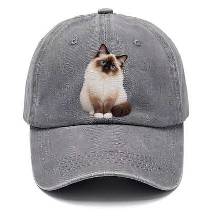 Birman Seated Portrait Realistic Cat Portrait Classic Cap – Urban Haze