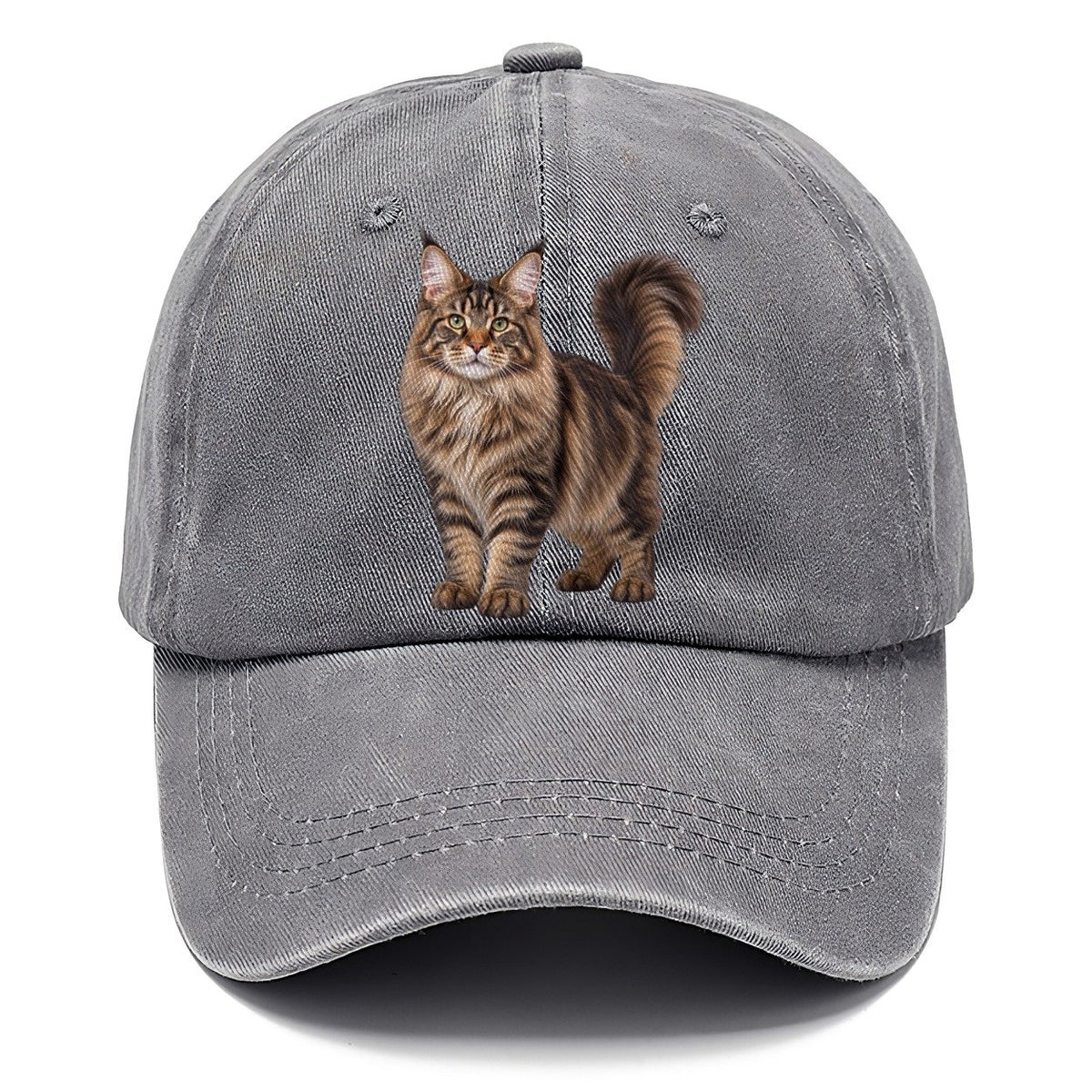 Maine Coon Standing Three Quarter Realistic Cat Portrait Classic Cap – Urban Haze