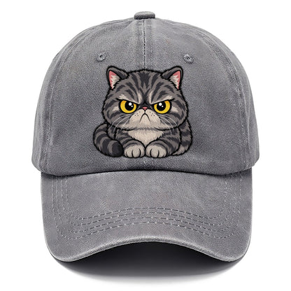 Exotic Shorthair Grumpy Sit Peeking Cats Classic Cap – Urban Haze