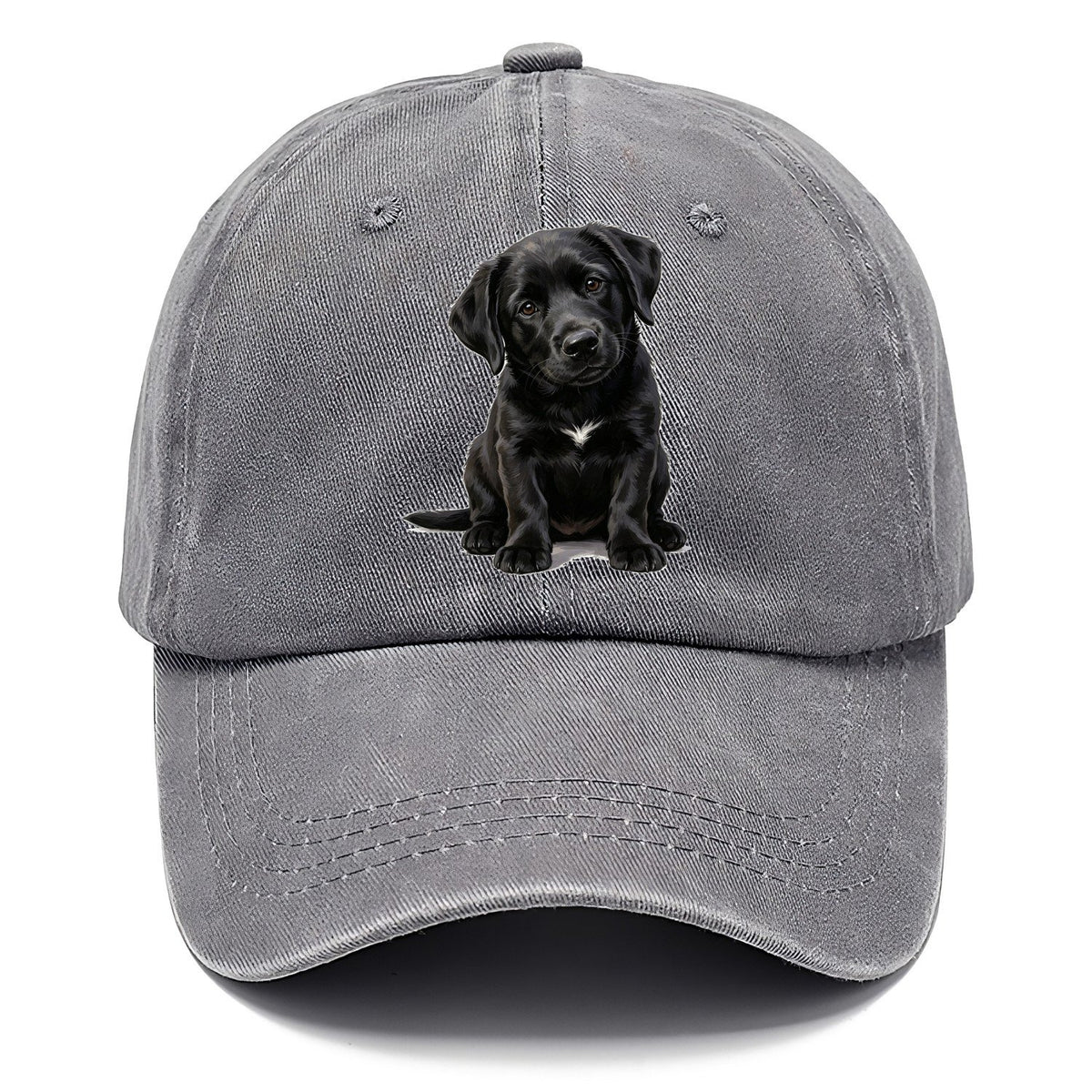 Black Puppy Classic Cap – Urban Haze