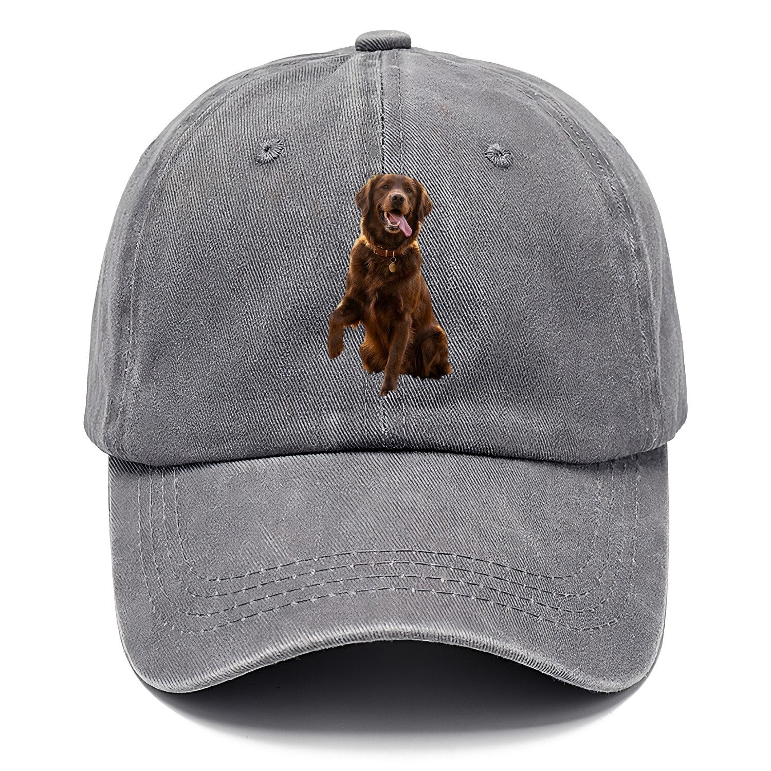 Dark Retriever Classic Cap – Urban Haze