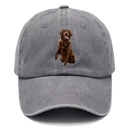 Dark Retriever Classic Cap – Urban Haze