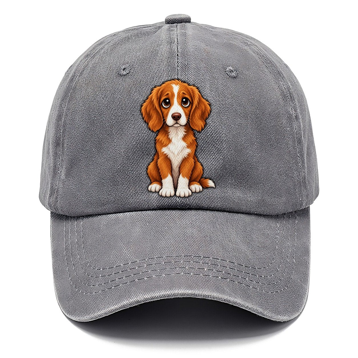 Nova Scotia Duck Tolling Retriever Sitting Sweetheart Classic Cap – Urban Haze