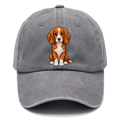 Nova Scotia Duck Tolling Retriever Sitting Sweetheart Classic Cap – Urban Haze