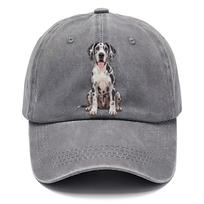 Great Dane Sitting Top Breeds Classic Cap – Urban Haze