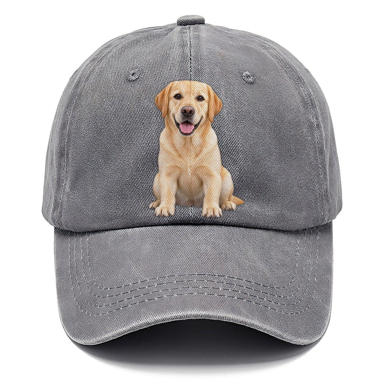 Labrador Retriever Sitting Top Breeds Classic Cap – Urban Haze