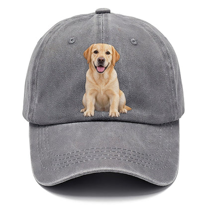 Labrador Retriever Sitting Top Breeds Classic Cap – Urban Haze