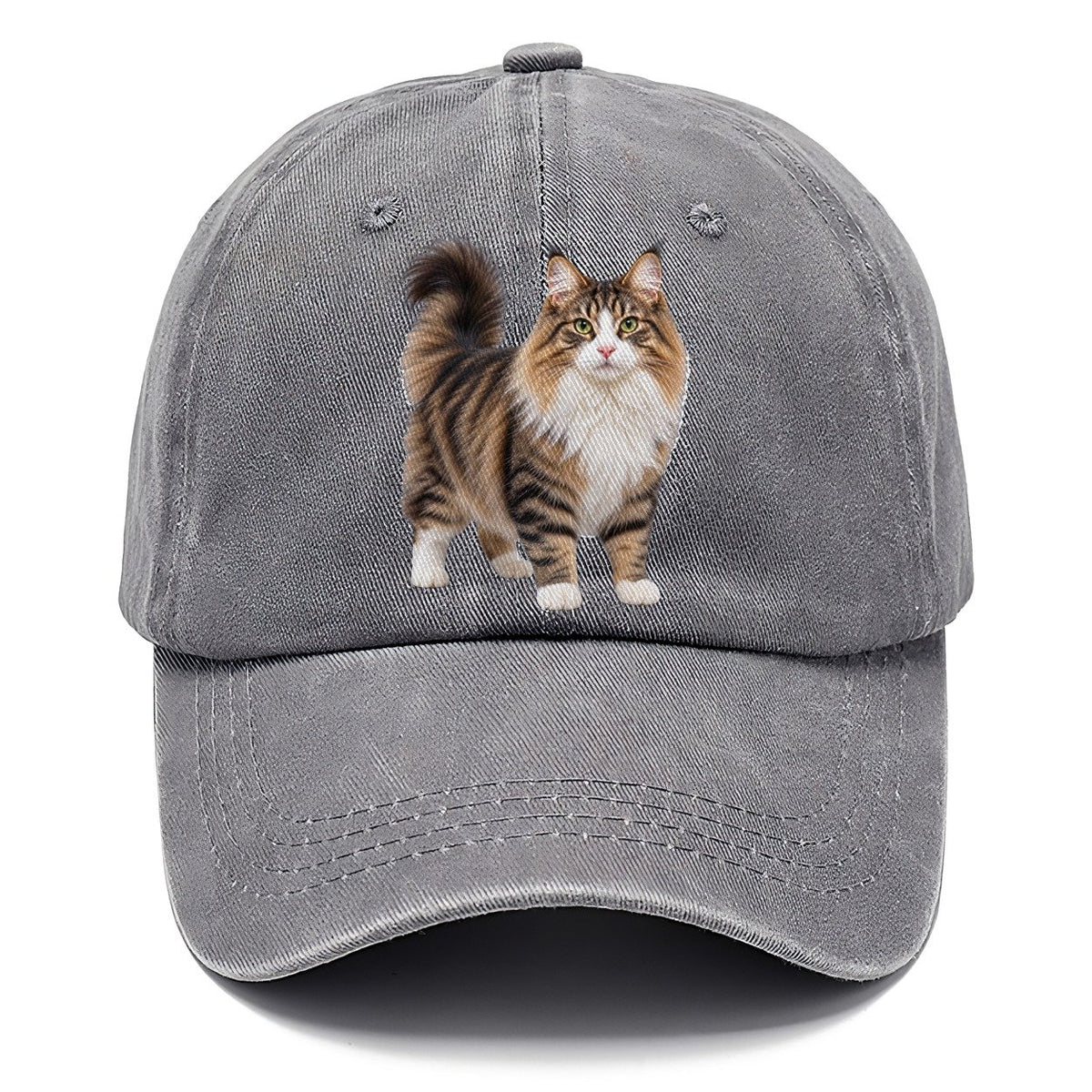 Norwegian Forest Cat Standing Three Quarter Realistic Cat Portrait Classic Cap – Urban Haze