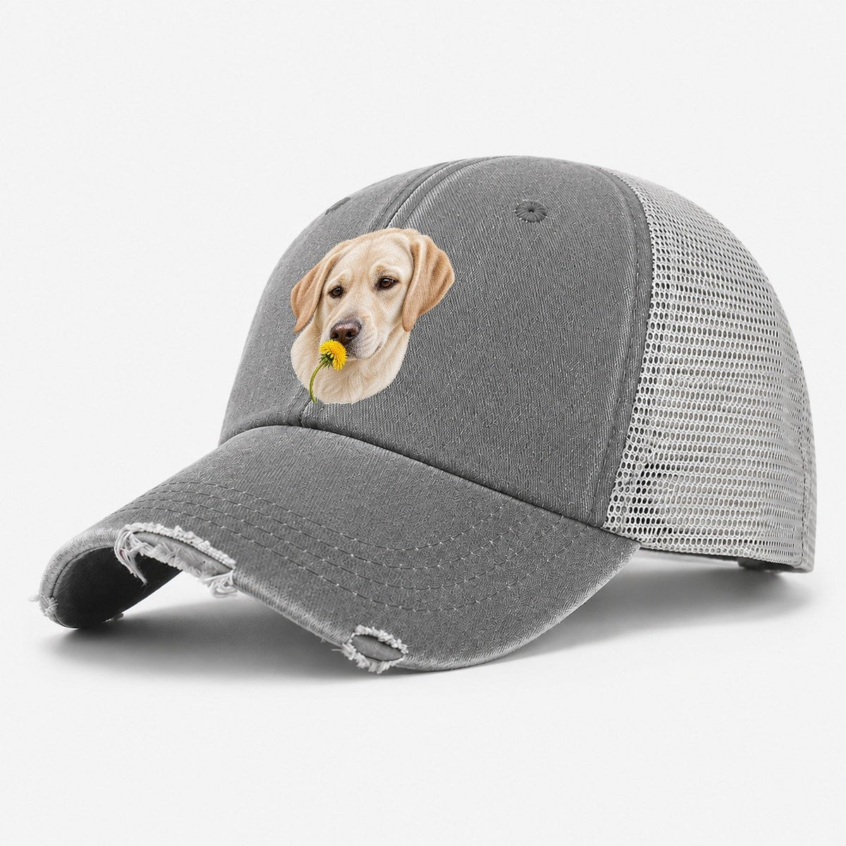 Cream Labrador Dandelion Pause Pastimes Companions Washed Trucker Hat – Grey