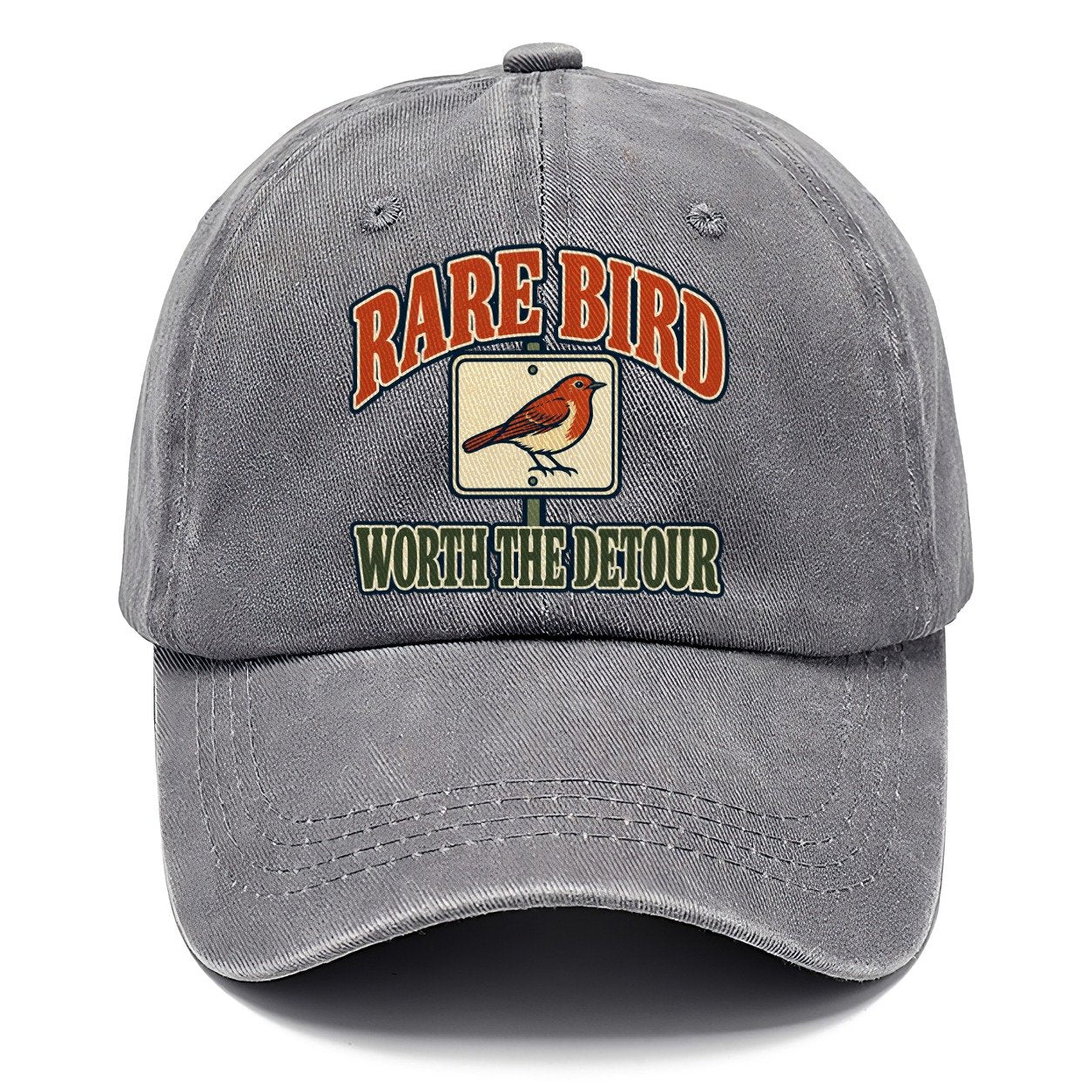Rare Bird Worth The Detour Birdwatching Classic Cap – Urban Haze