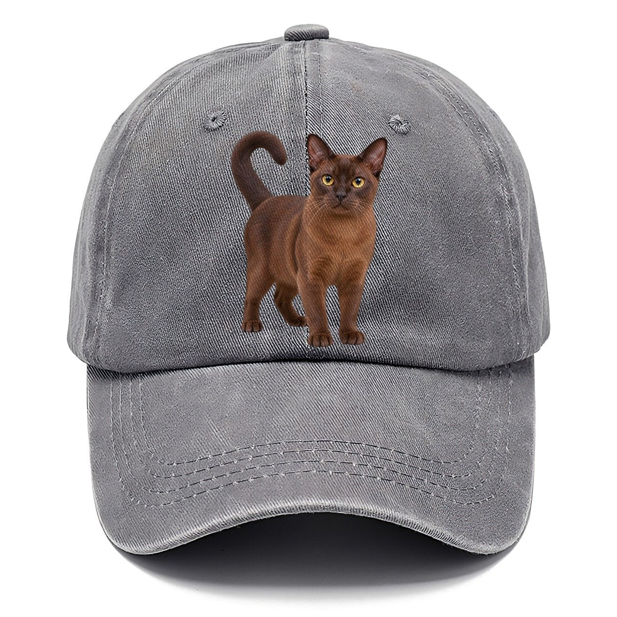 Burmese Standing Three Quarter Realistic Cat Portrait Classic Cap – Urban Haze