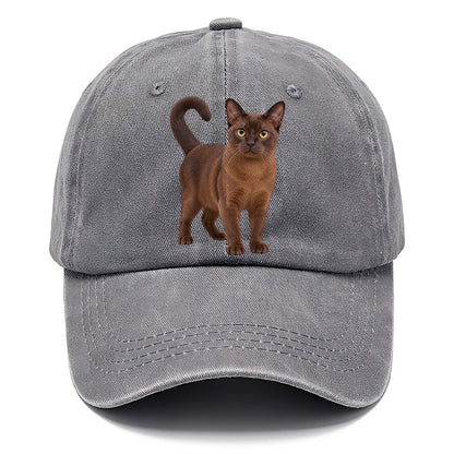 Burmese Standing Three Quarter Realistic Cat Portrait Classic Cap – Urban Haze