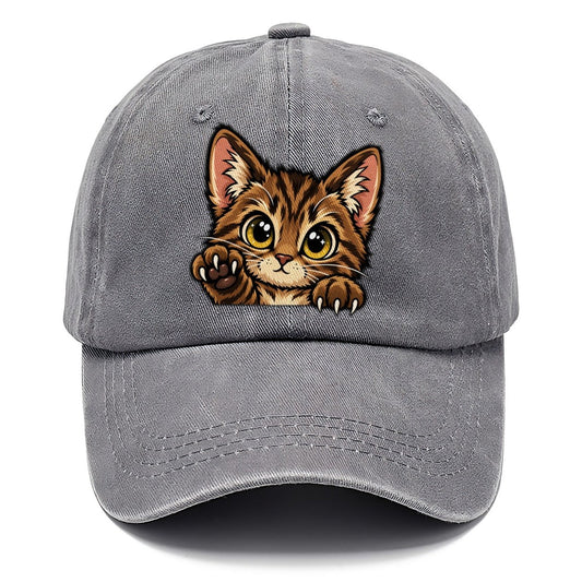 Tabby Kitten Paw Up Peeking Cats Classic Cap – Urban Haze