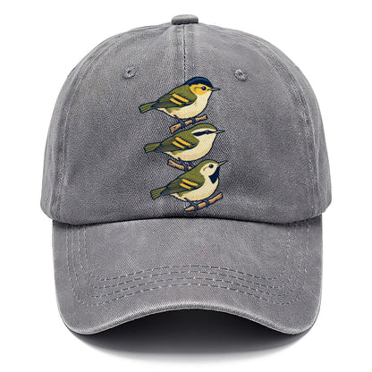 Woodland Warbler Set Birdwatching Classic Cap – Urban Haze