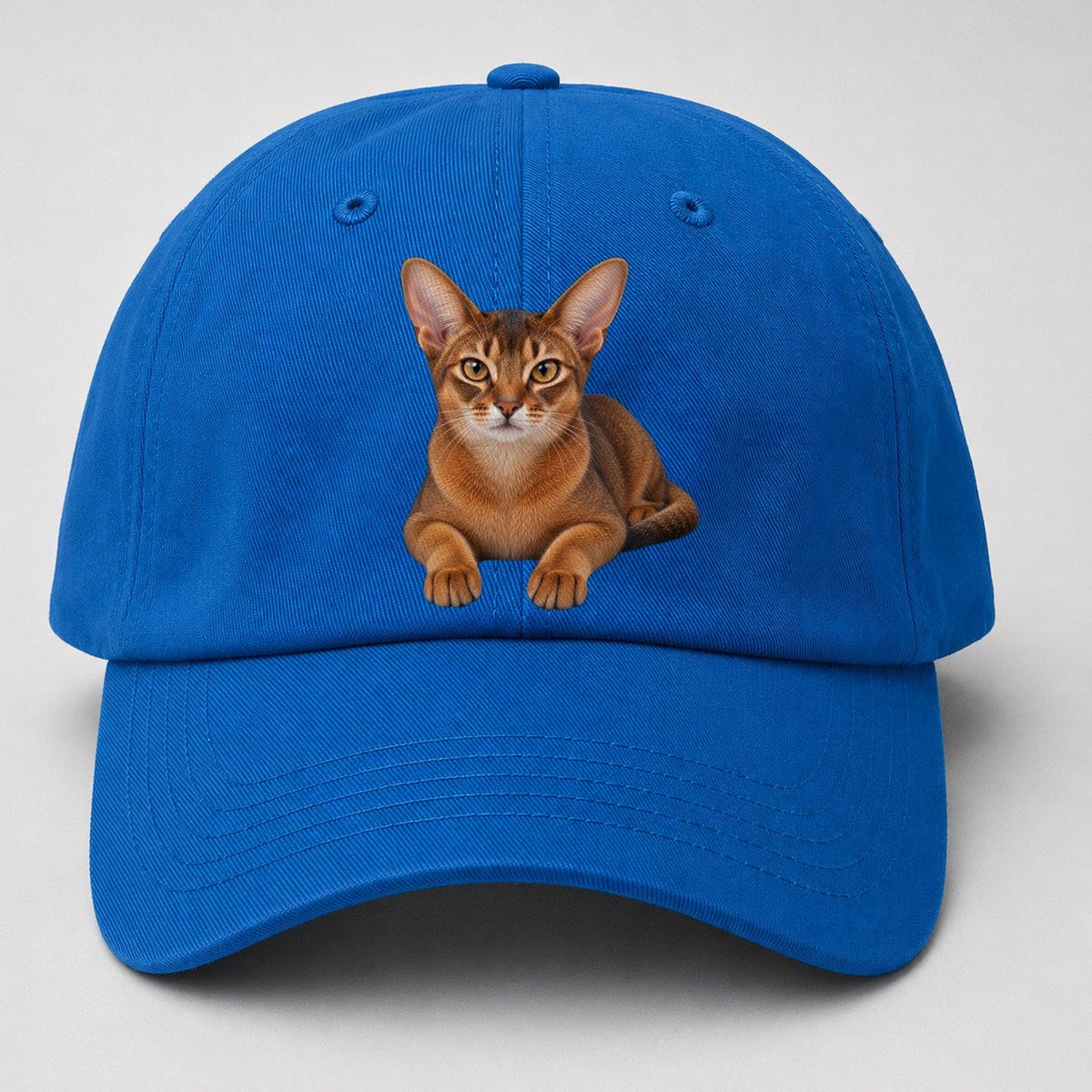 Abyssinian Reclining Paws Forward Realistic Cat Portrait Baseball Cap – Blue