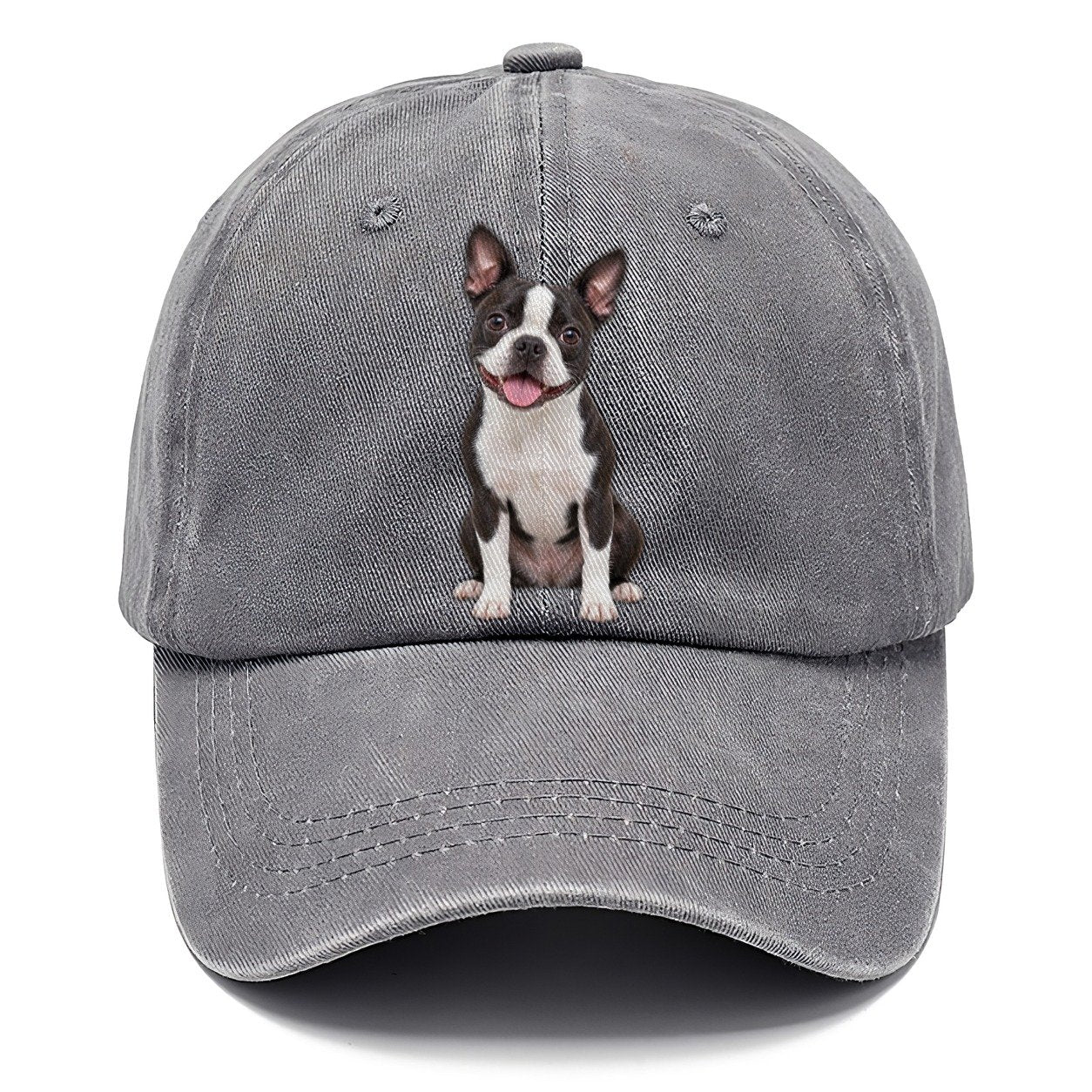Boston Terrier Sitting Top Breeds Classic Cap – Urban Haze