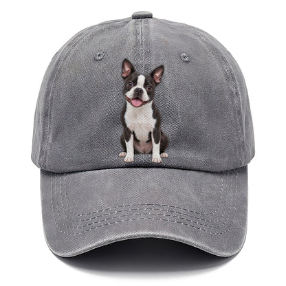 Boston Terrier Sitting Top Breeds Classic Cap – Urban Haze