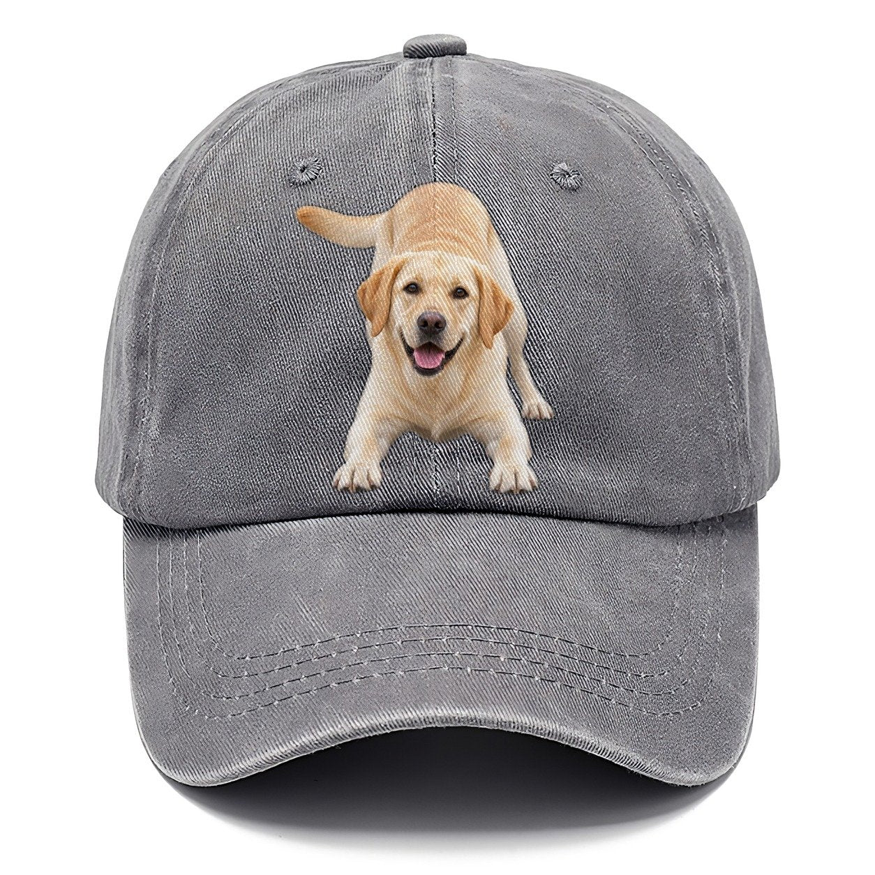 Labrador Retriever Play Bow Top Breeds Classic Cap – Urban Haze