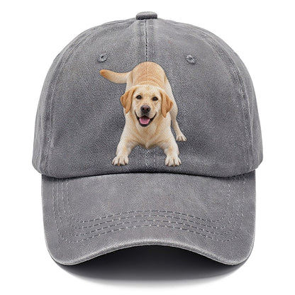Labrador Retriever Play Bow Top Breeds Classic Cap – Urban Haze