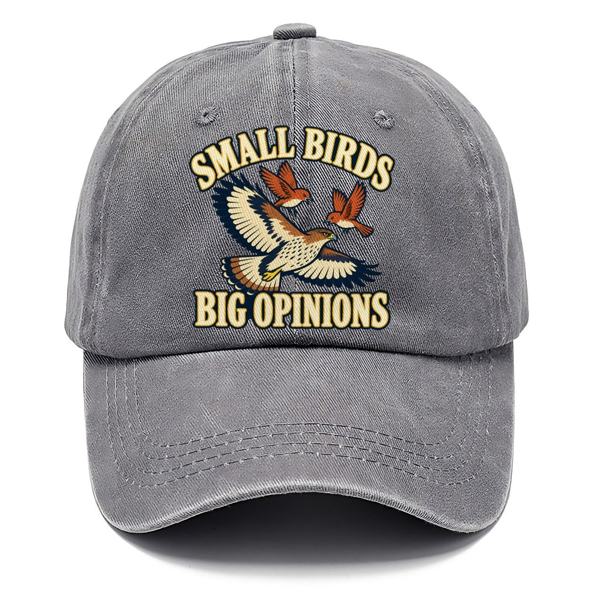 Small Birds Big Opinions Birdwatching Classic Cap – Urban Haze