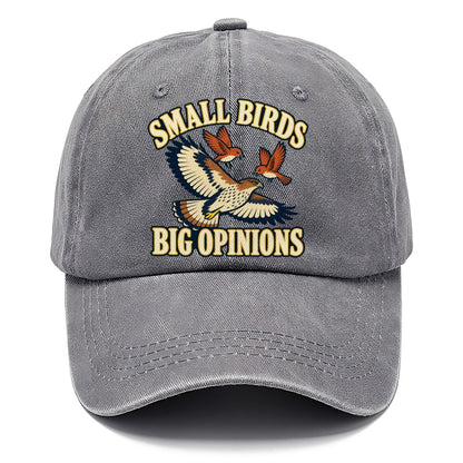 Small Birds Big Opinions Birdwatching Classic Cap – Urban Haze