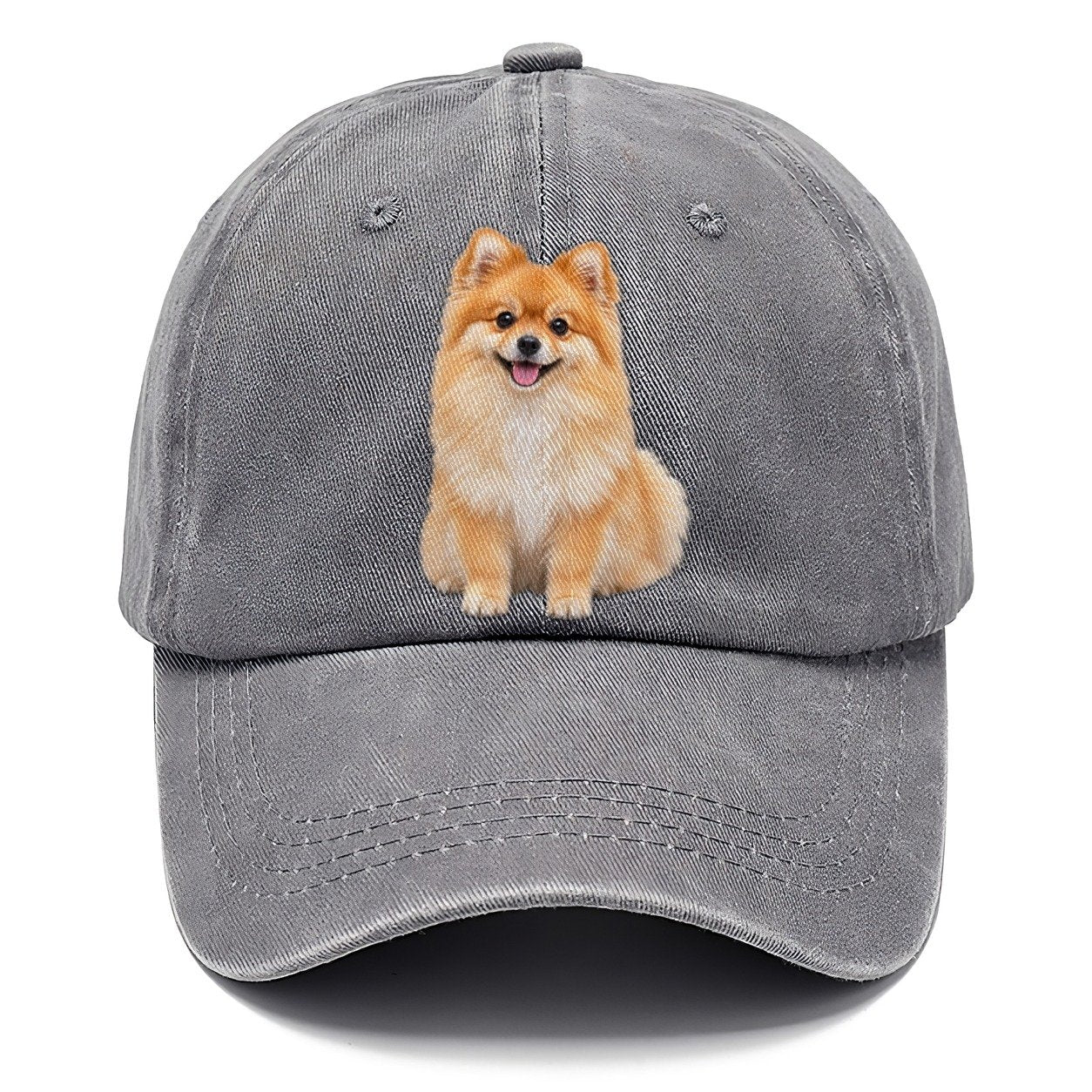 Pomeranian Sitting Top Breeds Classic Cap – Urban Haze