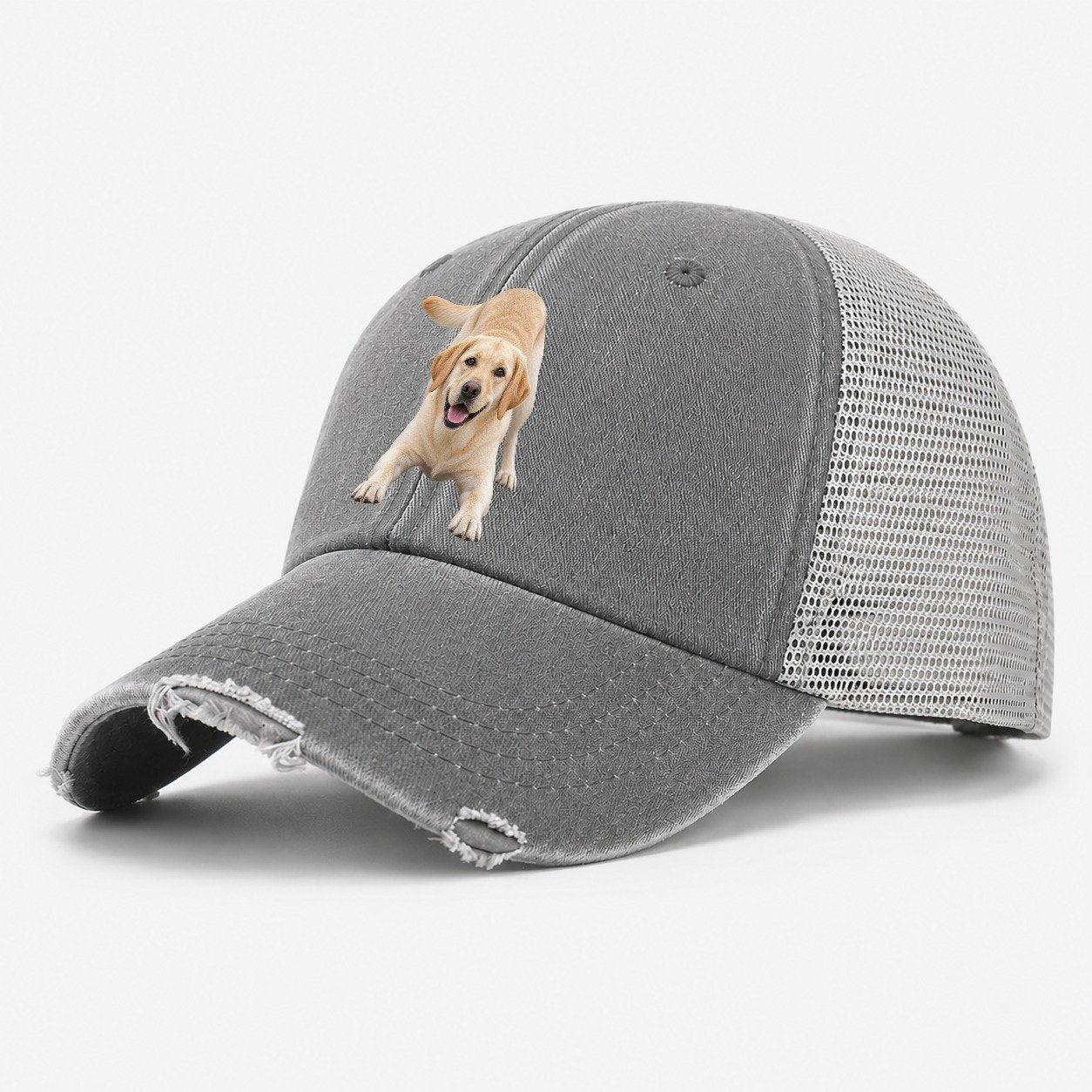 Labrador Retriever Play Bow Top Breeds Washed Trucker Hat – Grey