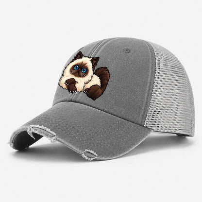 Himalayan Lounging Peeking Cats Washed Trucker Hat – Grey