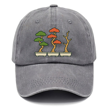 Three Season Set Bonsai Classic Cap – Urban Haze