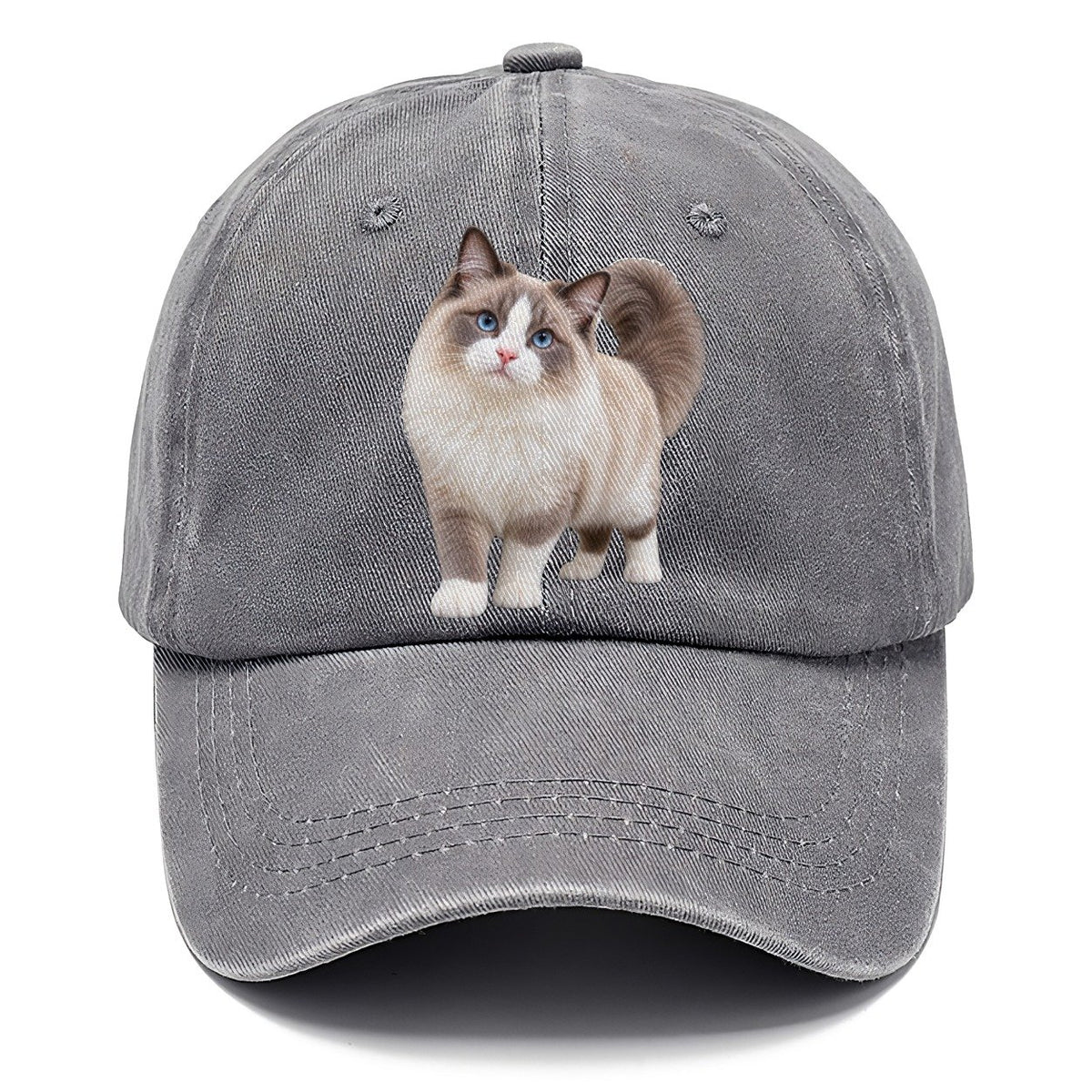 Ragdoll Standing Three Quarter Realistic Cat Portrait Classic Cap – Urban Haze