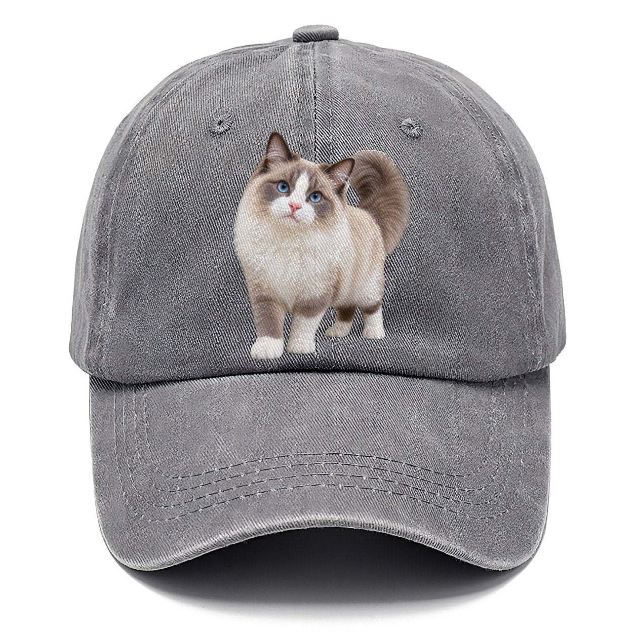 Ragdoll Standing Three Quarter Realistic Cat Portrait Classic Cap – Urban Haze
