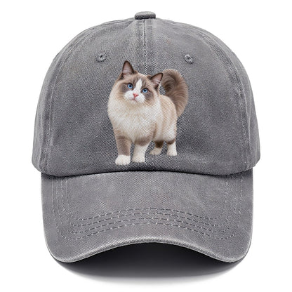 Ragdoll Standing Three Quarter Realistic Cat Portrait Classic Cap – Urban Haze