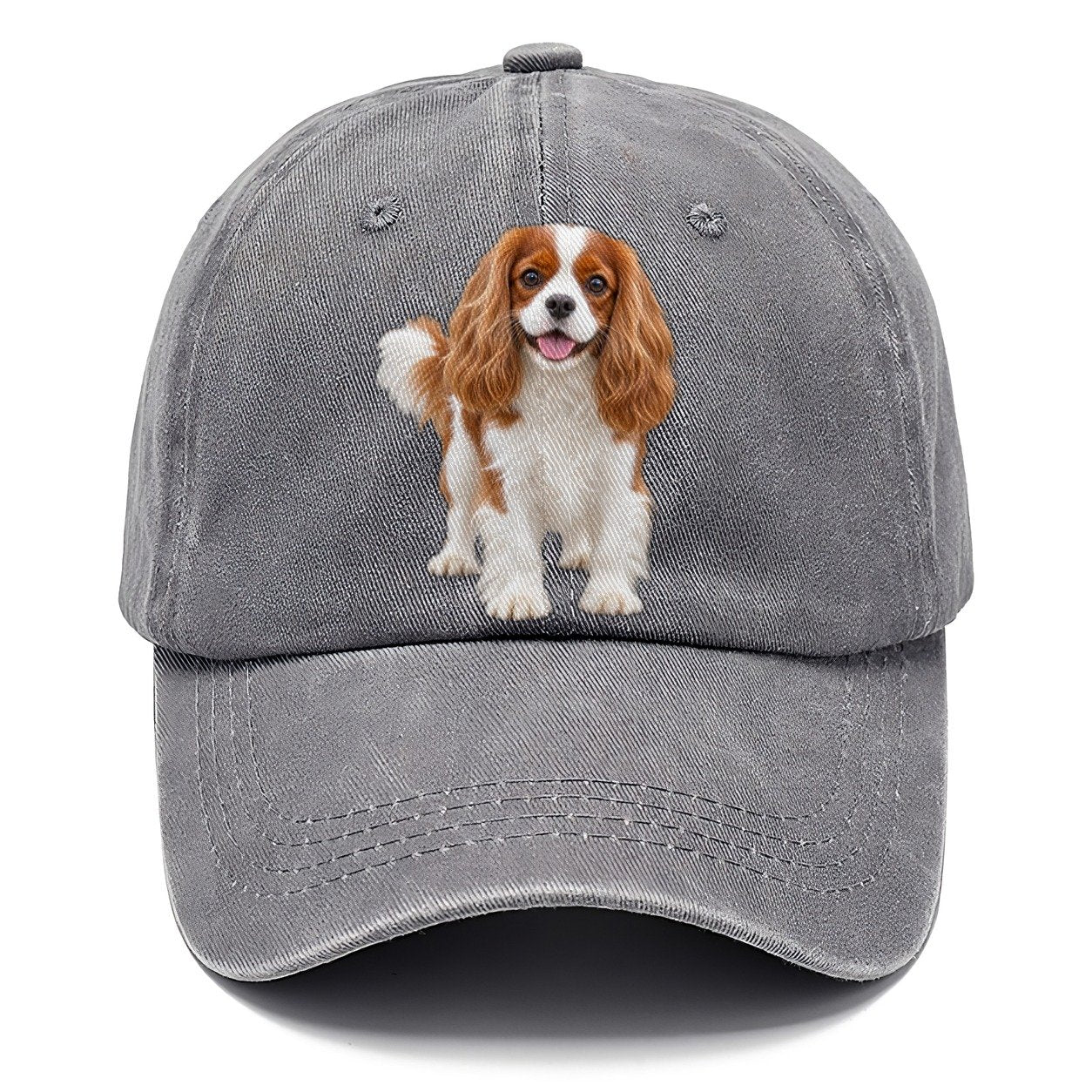 Cavalier King Charles Spaniel Standing Top Breeds Classic Cap – Urban Haze