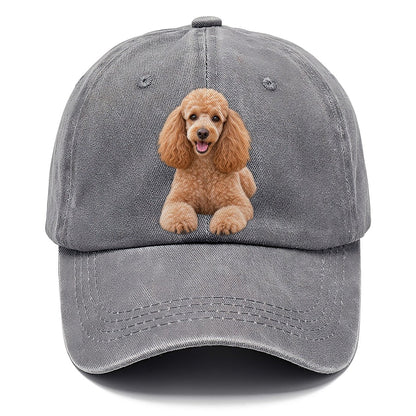 Poodle Sitting Top Breeds Classic Cap – Urban Haze