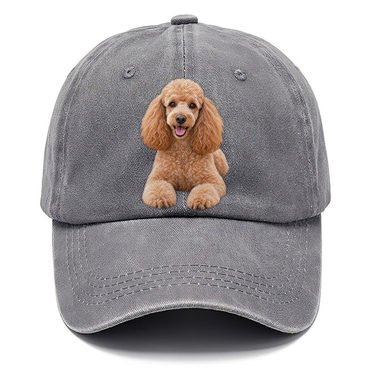 Poodle Sitting Top Breeds Classic Cap – Urban Haze