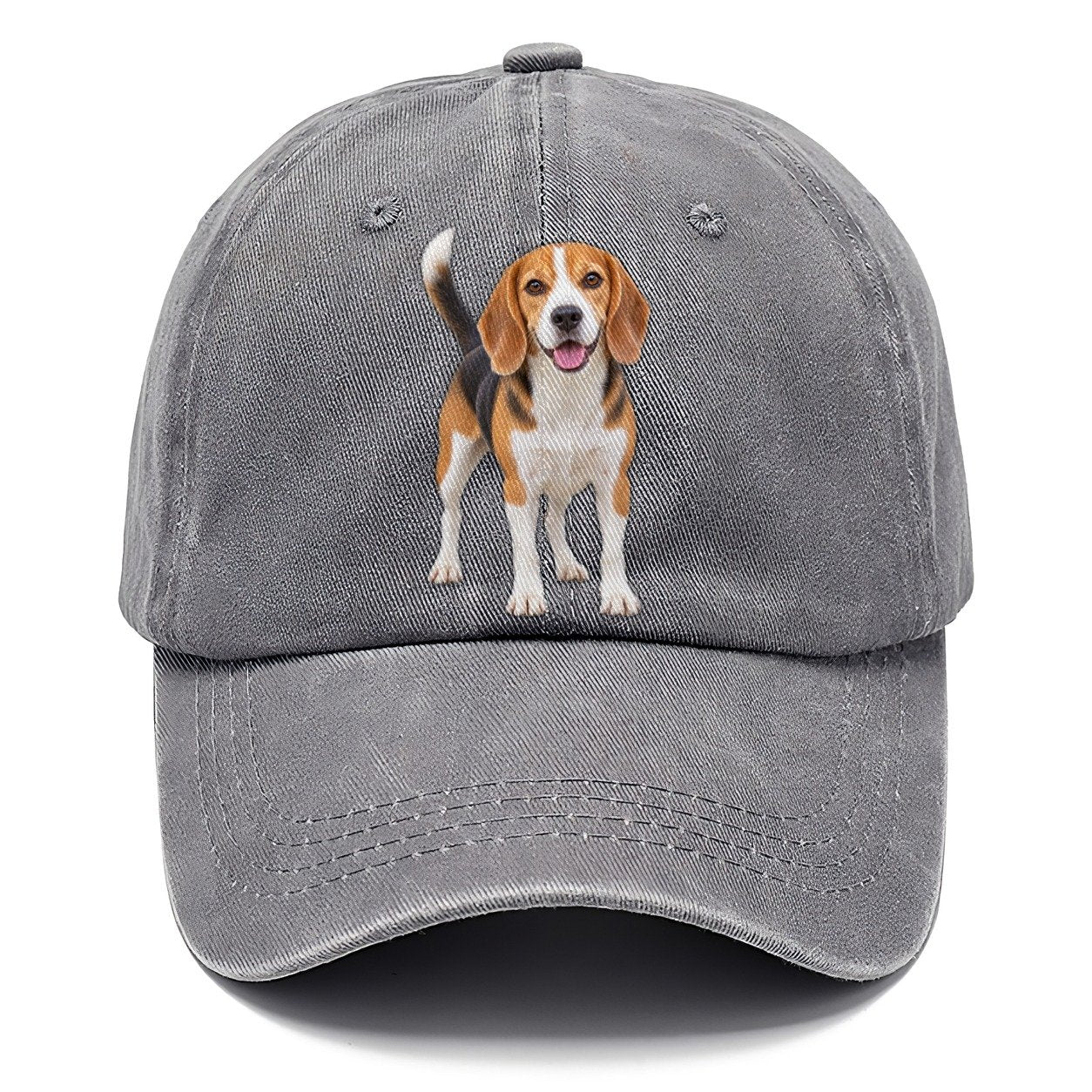 Beagle Standing Top Breeds Classic Cap – Urban Haze