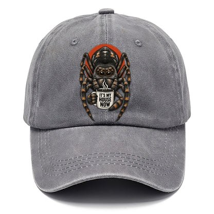 Spider Mug Truths Classic Cap – Urban Haze